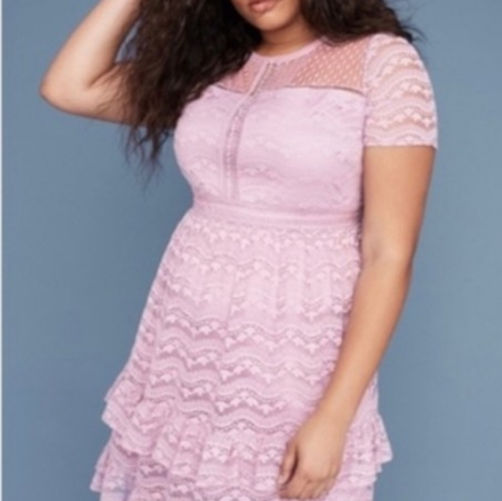 2 for $ 40 - Lane Bryant Dusty Mauve Lace and Mesh Dress